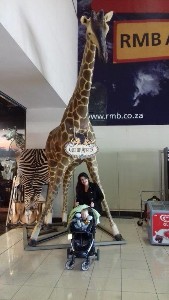 joanesburgo2017a (9).jpg (52437 bytes)