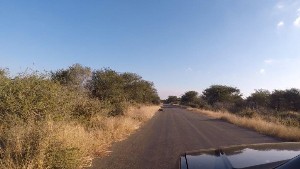 kruger2017a (1).jpg (76493 bytes)