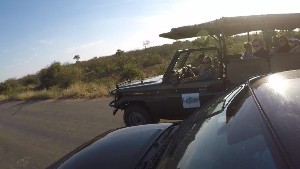 kruger2017a (41).jpg (61079 bytes)