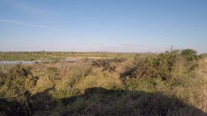 kruger2017a (42).jpg (93658 bytes)