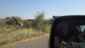 kruger2017a (59).jpg (69922 bytes)