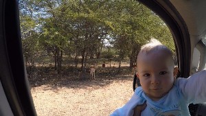 kruger2017a (70).jpg (125785 bytes)