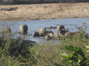 kruger2017b (14).jpg (147273 bytes)