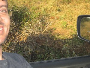 kruger2017b (17).jpg (174983 bytes)