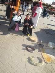 marrocos029.jpg (250363 bytes)