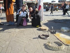 marrocos030.jpg (260760 bytes)