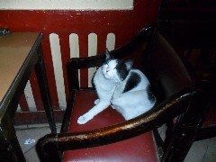 marrocos115.jpg (146450 bytes)