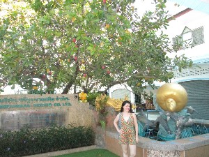 phuket2016a011.jpg (307838 bytes)