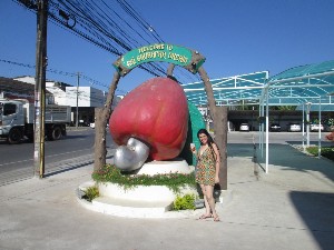 phuket2016a013.jpg (198068 bytes)