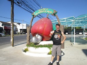 phuket2016a014.jpg (205007 bytes)