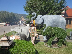 phuket2016a024.jpg (325732 bytes)