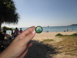 phuket2016a099.jpg (115062 bytes)