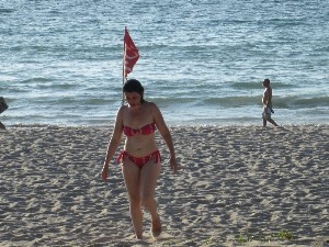 phuket2016a121.jpg (287378 bytes)