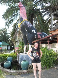 phuket2016a130.jpg (327540 bytes)