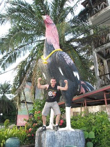 phuket2016a131.jpg (354366 bytes)