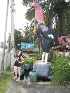 phuket2016a132.jpg (265518 bytes)