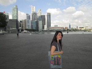 singapura2016a001.jpg (157526 bytes)