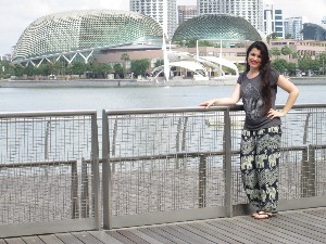 singapura2016a009.jpg (297653 bytes)