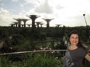 singapura2016a027.jpg (181774 bytes)