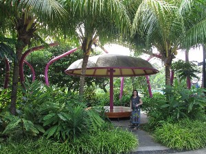 singapura2016a054.jpg (358838 bytes)