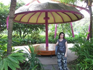 singapura2016a055.jpg (308017 bytes)