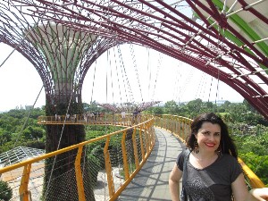 singapura2016a066.jpg (316263 bytes)