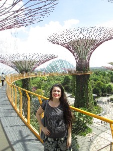 singapura2016a068.jpg (311093 bytes)