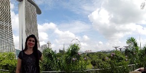 singapura2016a149.jpg (152730 bytes)