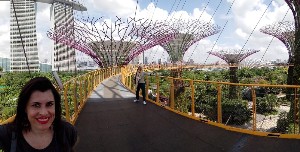 singapura2016a156.jpg (198525 bytes)