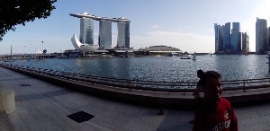 singapura2016a170.jpg (110758 bytes)