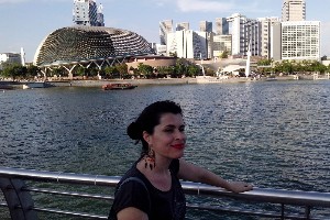 singapura2016a178.jpg (270146 bytes)