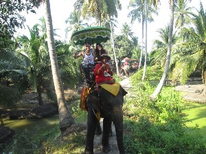 tailandia2016maior204.jpg (340821 bytes)