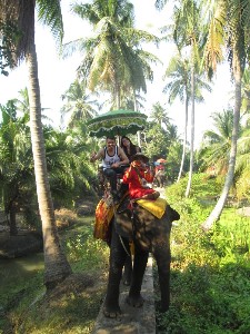 tailandia2016maior206.jpg (307402 bytes)