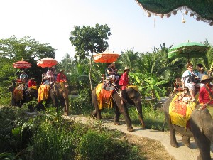 tailandia2016maior211.jpg (279577 bytes)