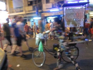 vietnam2016a063.jpg (183760 bytes)