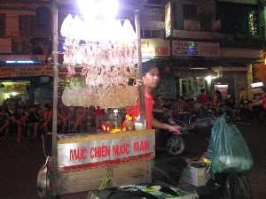 vietnam2016a067.jpg (214422 bytes)