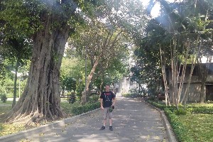 vietnam2016a149.jpg (313000 bytes)