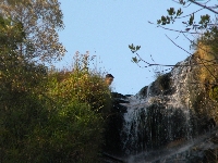 casamentoemersonpatriciacachoeiras116.jpg (577067 bytes)